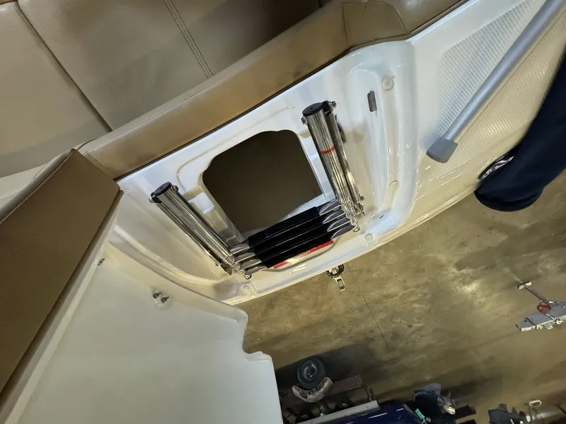 Slide: The Image of Sea Ray SDX 270 2020 - 13