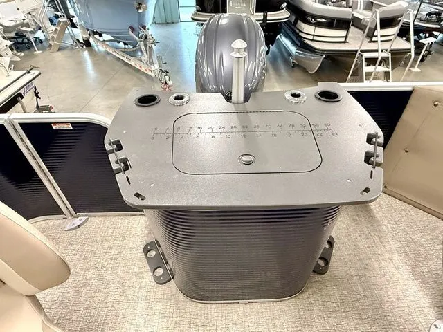 Slide: The Image of Bennington S Fish 22 SF 2026 - 12