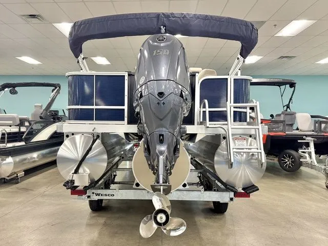 Slide: The Image of Bennington S Fish 22 SF 2026 - 15