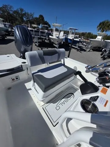 Slide: The Image of Robalo 206 Cayman 2026 - 29