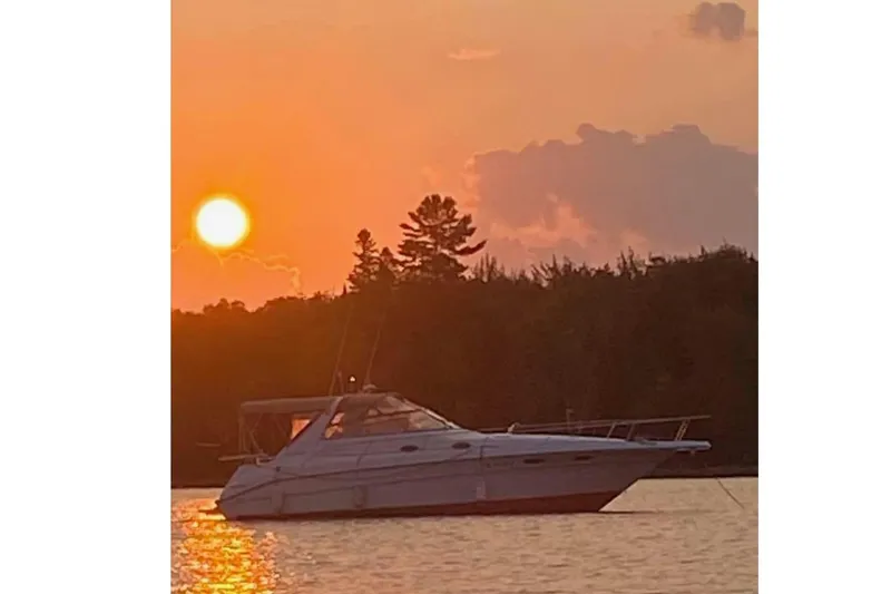 Slide: The Image of 1996 Sea Ray Sundancer 330 at sunset on the water. - 8