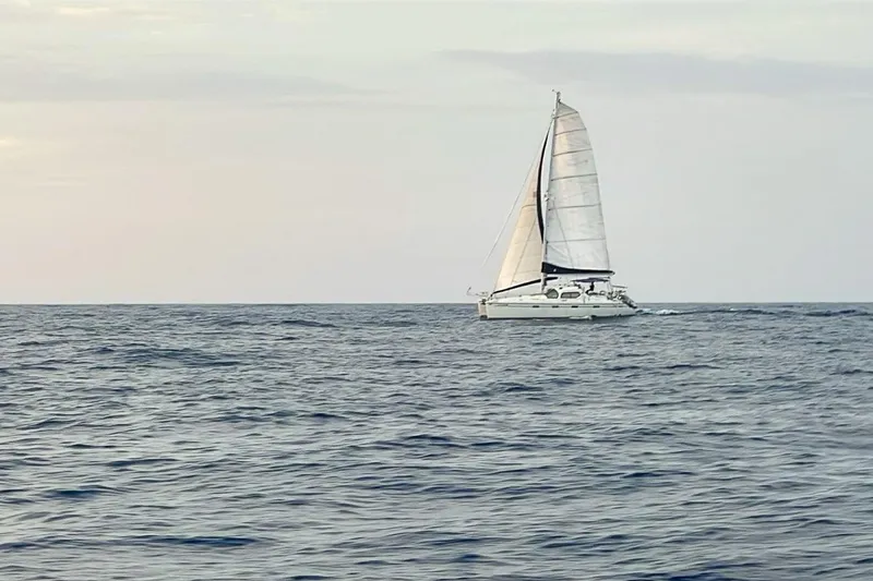 The Image of Privilege 435 2001 - undefined