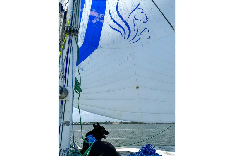 Slide: The Image of Sailboat Privilege 435 (2001) with blue sail design and dog on deck. - 47