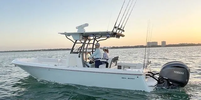 Slide: The Image of Sea Born LX26LE 2026 - 1