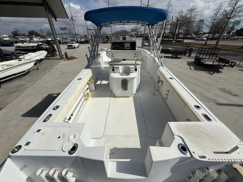 Slide: The Image of Glacier Bay 260 2004 - 9