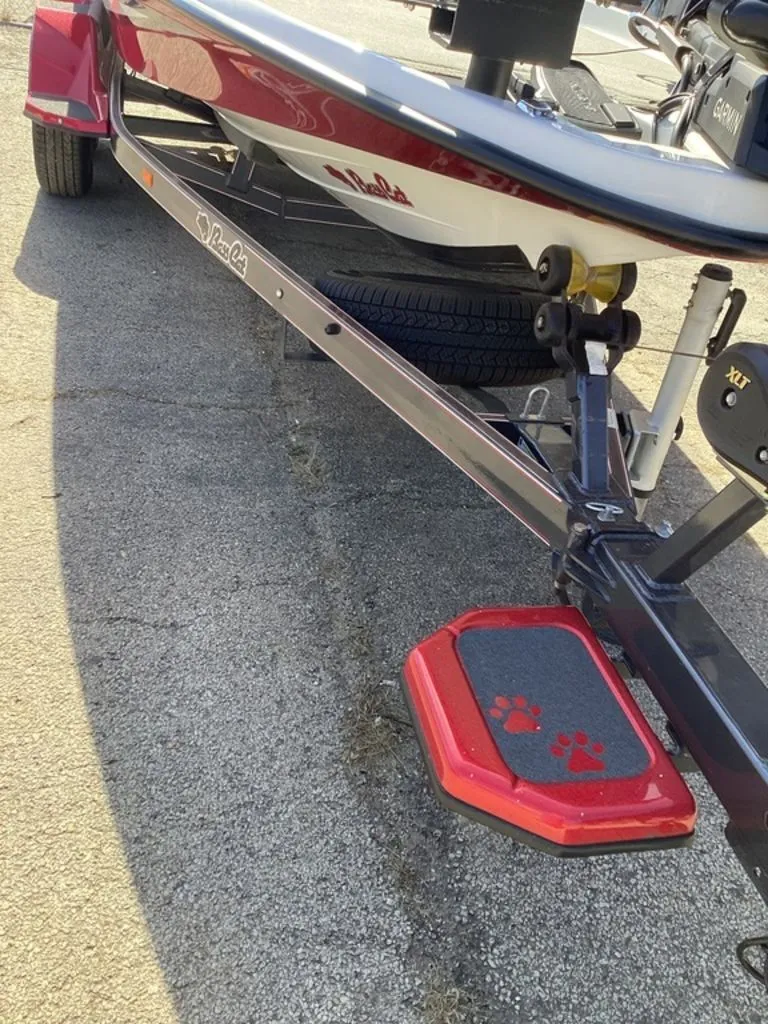 Slide: The Image of Bass Cat Pantera II 2025 - 13