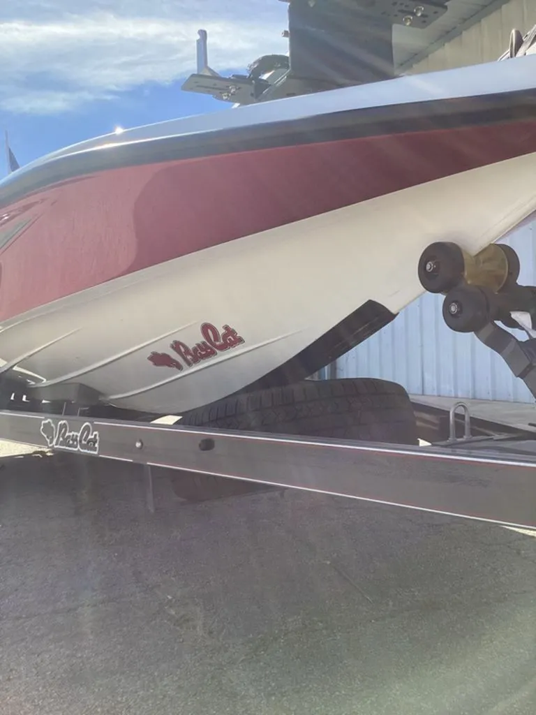 Slide: The Image of Bass Cat Pantera II 2025 - 14