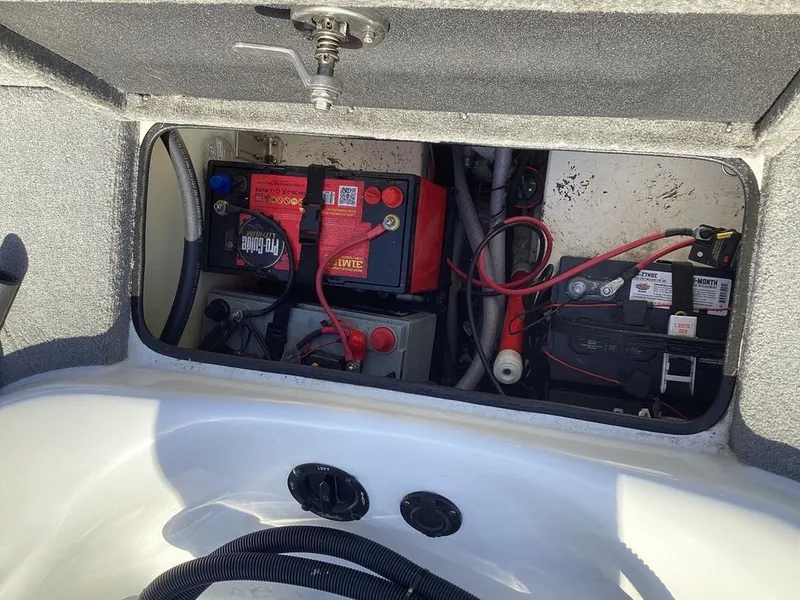 Slide: The Image of Bass Cat Pantera II 2025 - 20