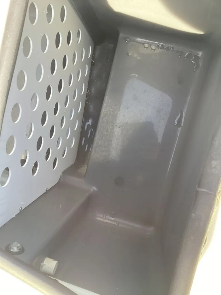 Slide: The Image of Bass Cat Pantera II 2025 - 24