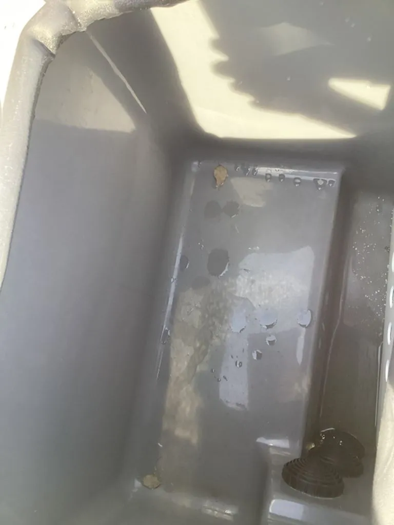 Slide: The Image of Bass Cat Pantera II 2025 - 25