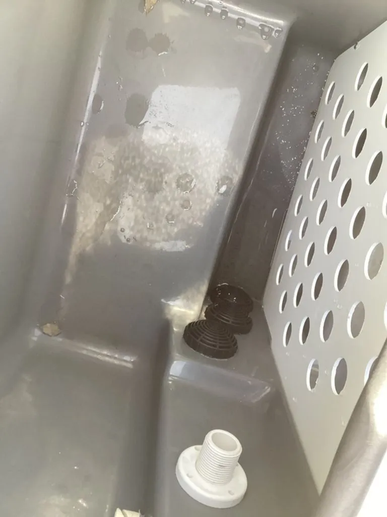 Slide: The Image of Bass Cat Pantera II 2025 - 26