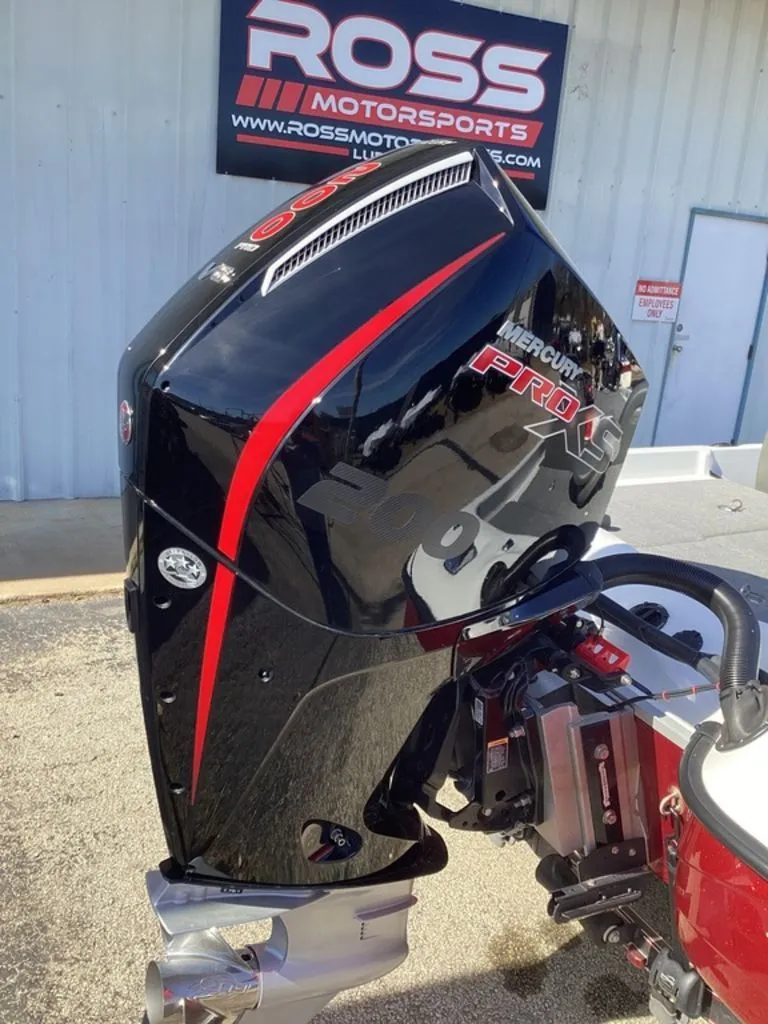 Slide: The Image of Bass Cat Pantera II 2025 - 3