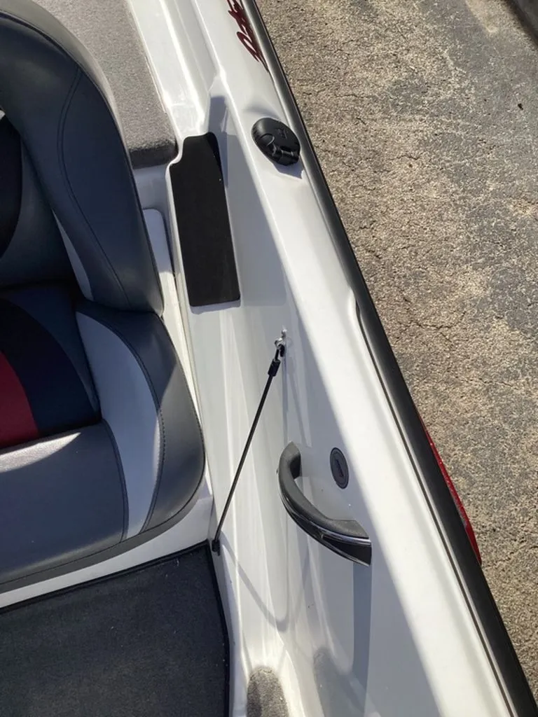 Slide: The Image of Bass Cat Pantera II 2025 - 31