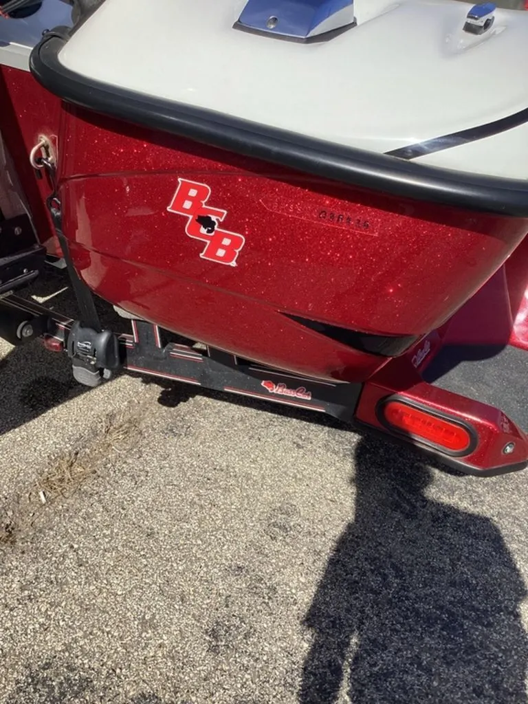 Slide: The Image of Bass Cat Pantera II 2025 - 4