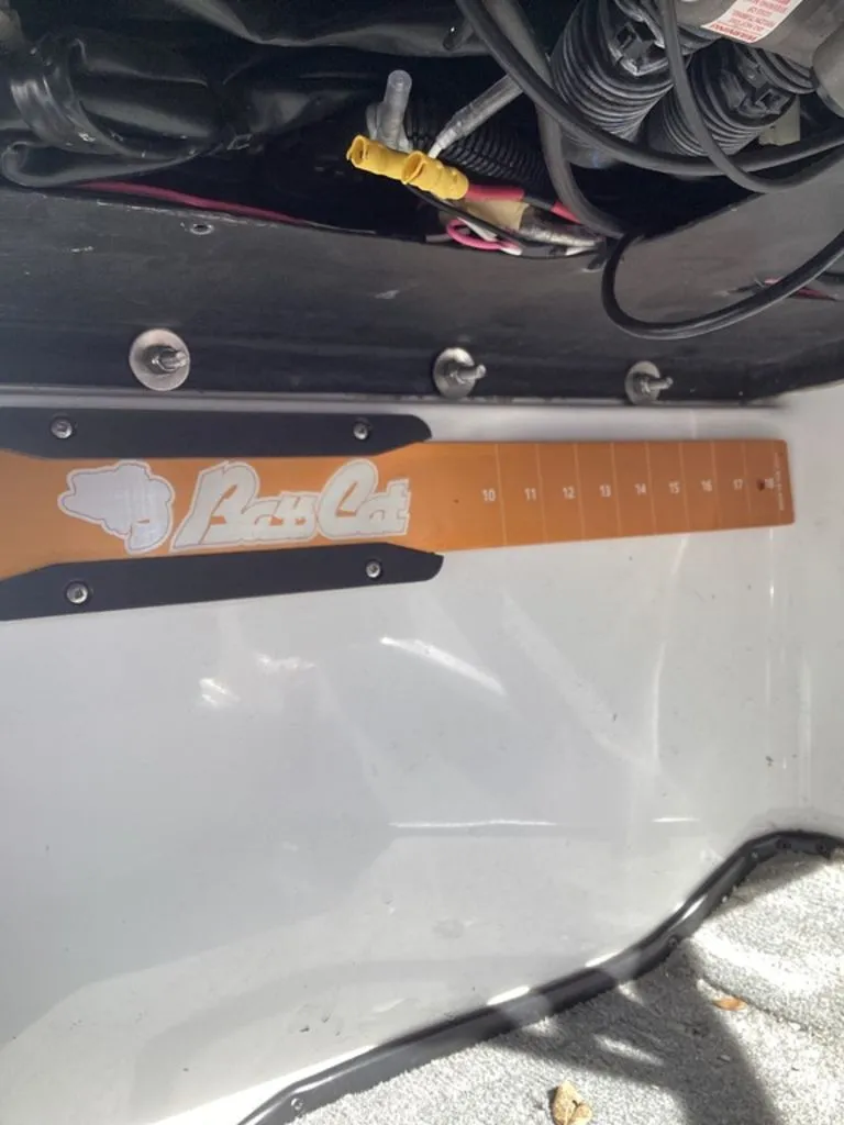 Slide: The Image of Bass Cat Pantera II 2025 - 41