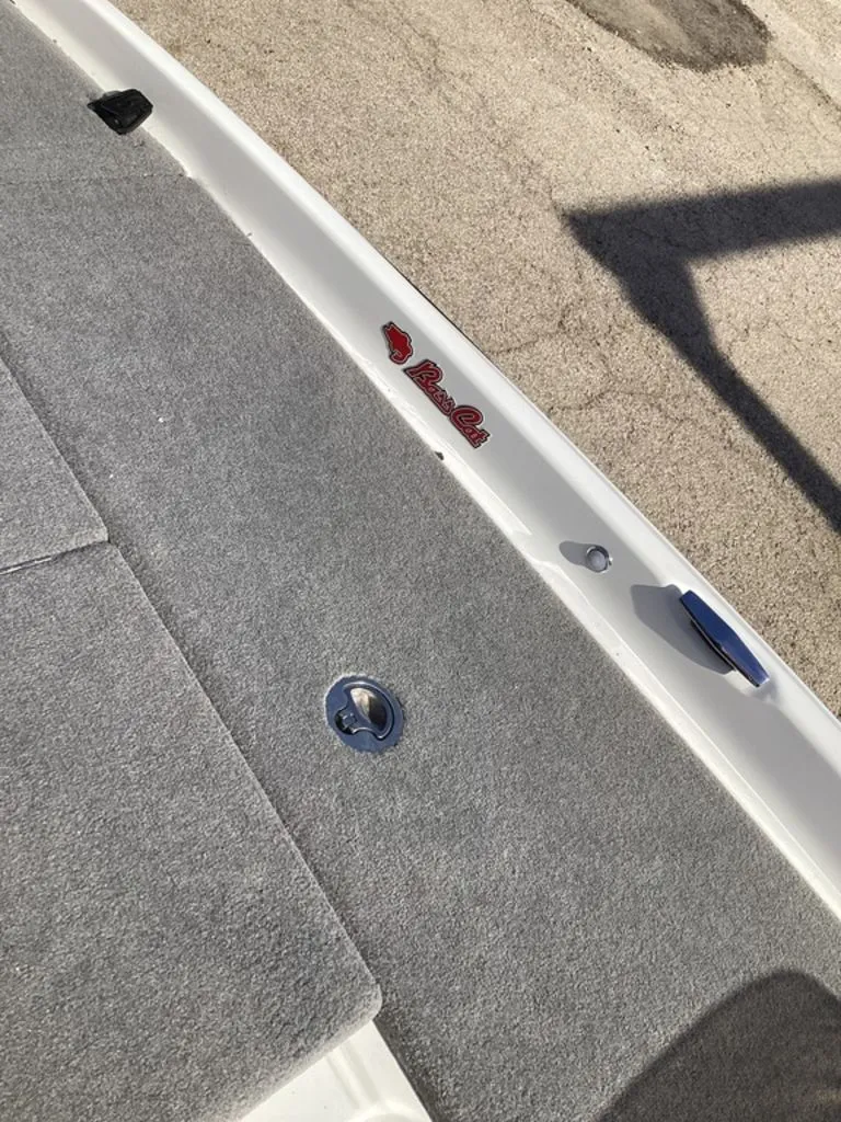 Slide: The Image of Bass Cat Pantera II 2025 - 45