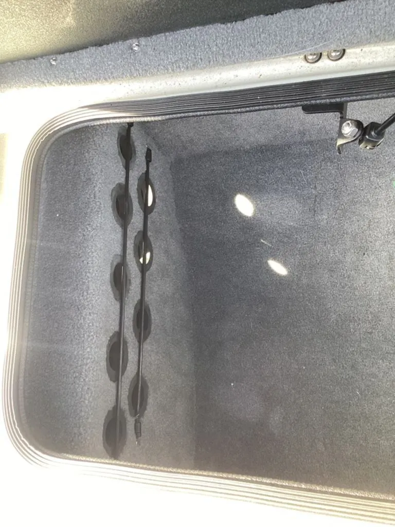 Slide: The Image of Bass Cat Pantera II 2025 - 46