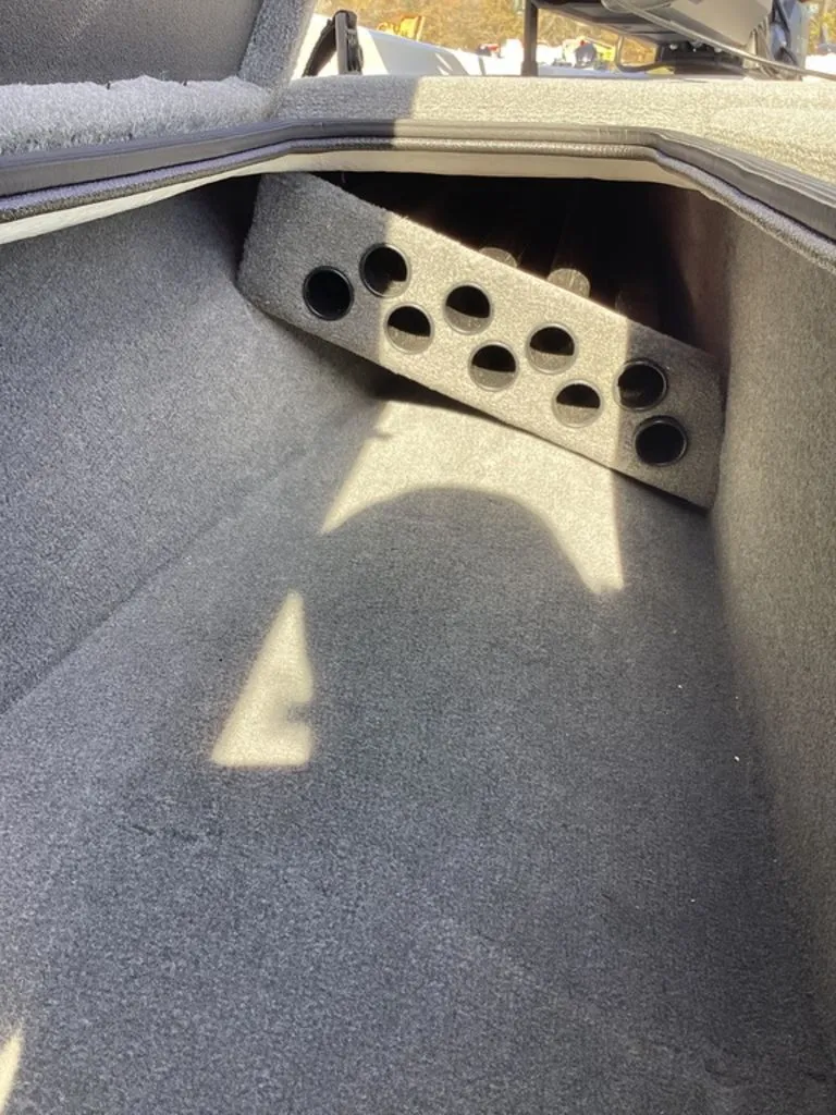 Slide: The Image of Bass Cat Pantera II 2025 - 47