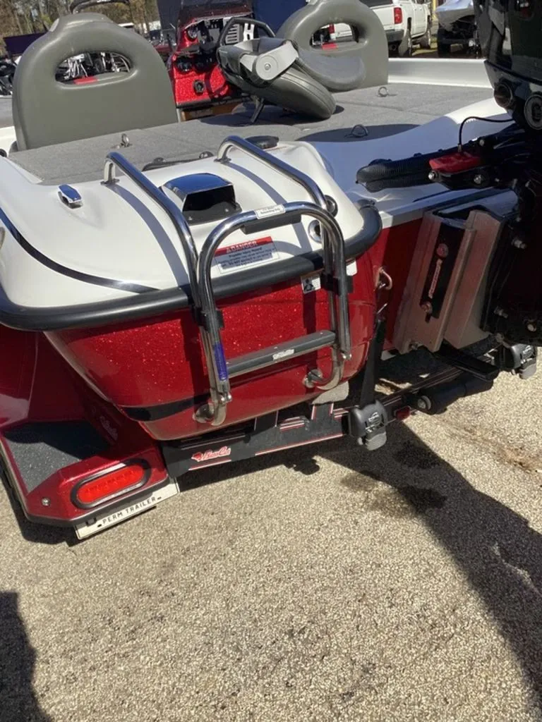 Slide: The Image of Bass Cat Pantera II 2025 - 5