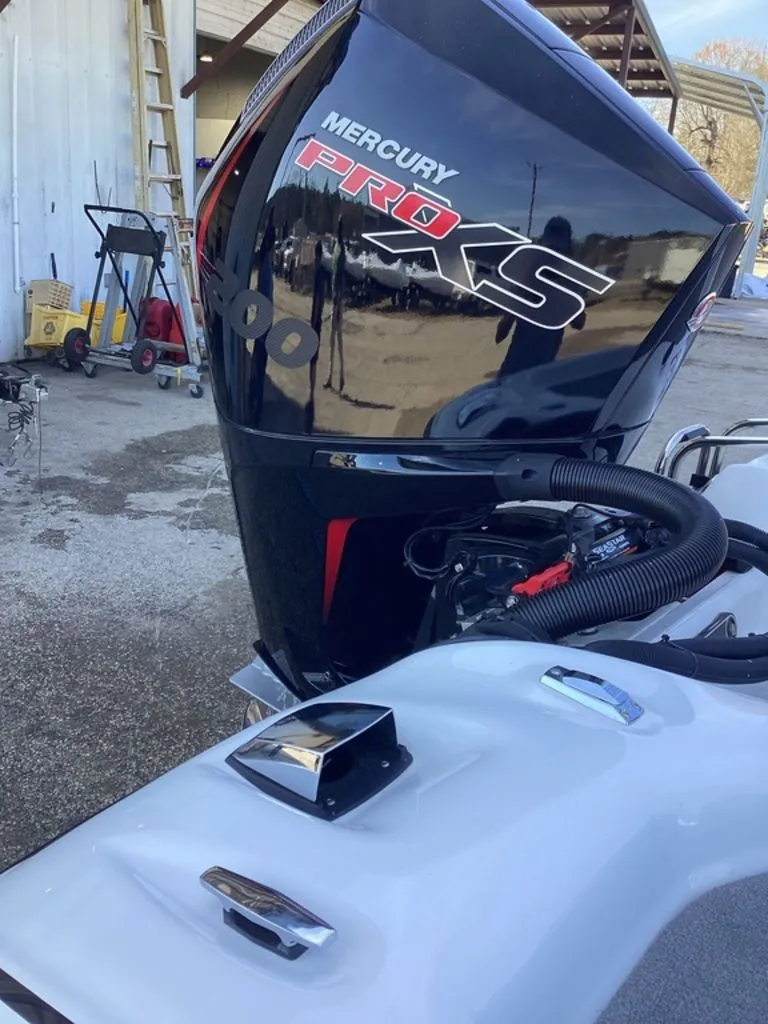 Slide: The Image of Bass Cat Pantera II 2025 - 56