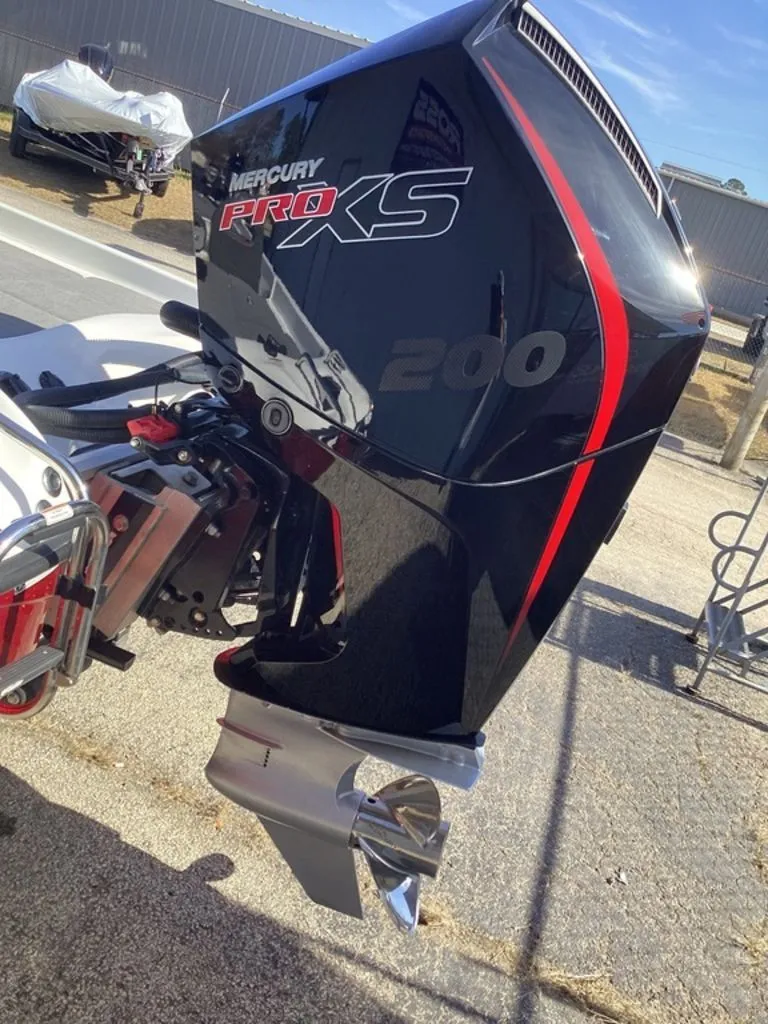 Slide: The Image of Bass Cat Pantera II 2025 - 6