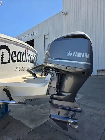 Slide: The Image of Regulator Marine 31 2019 - 48