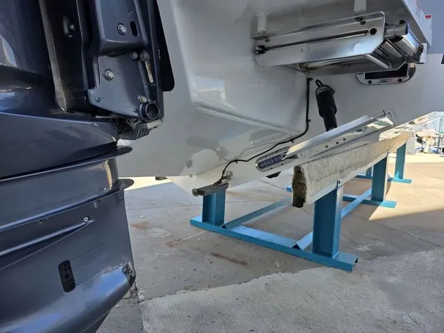 Slide: The Image of Regulator Marine 31 2019 - 50