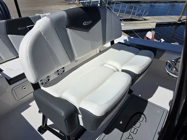 Slide: The Image of Robalo 246 Cayman 2023 - 18