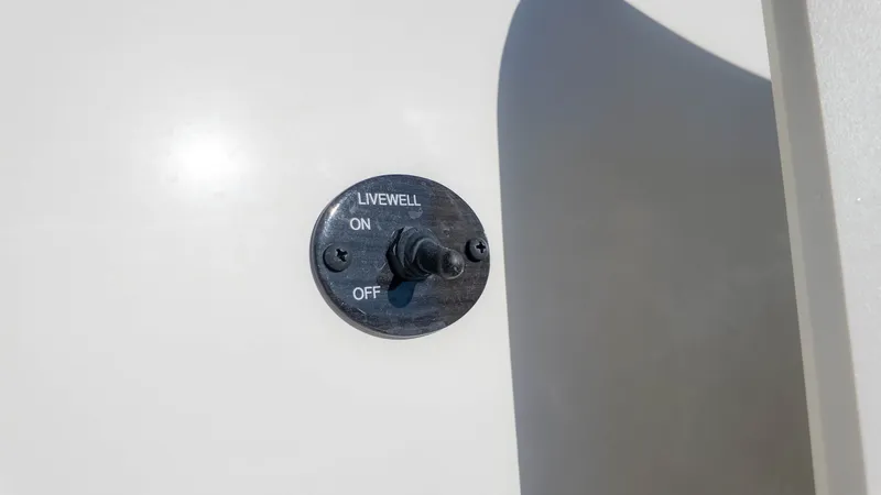 Slide: The Image of Stingray 172 SC 2024 - 17