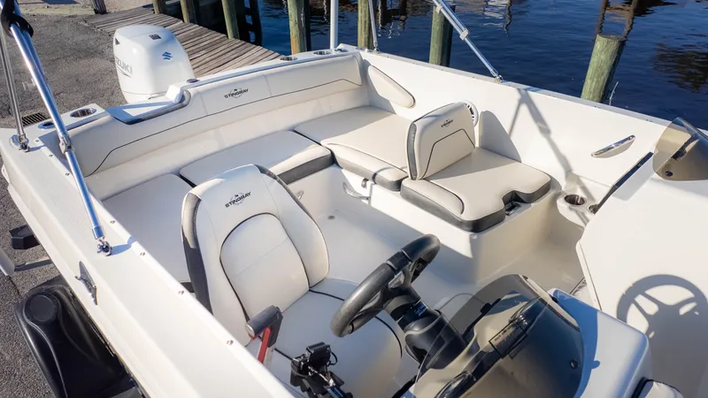 Slide: The Image of Stingray 172 SC 2024 - 5