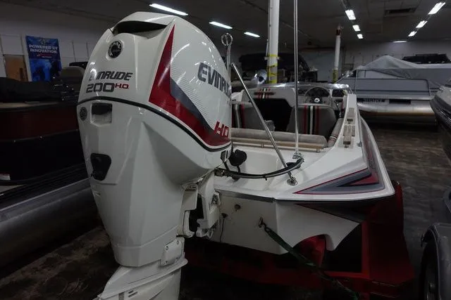 Slide: The Image of Hydrostream Venus 1988 - 3