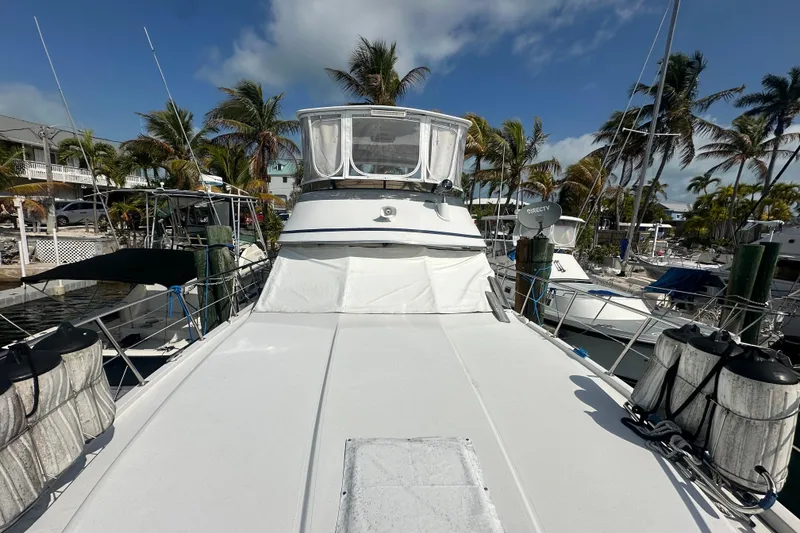 Slide: The Image of 1991 Carver Californian 48 yacht docked, surrounded by palm trees and clear skies. - 3