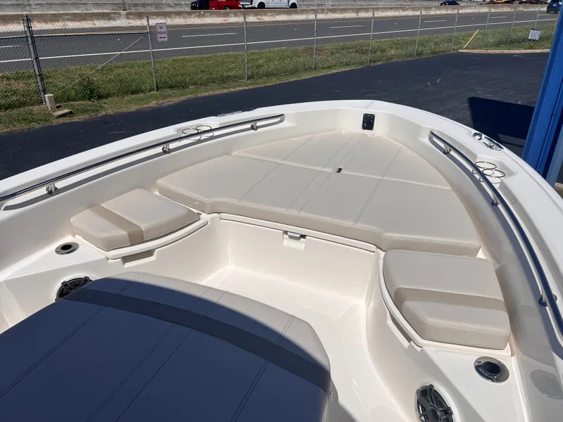 Slide: The Image of Boston Whaler 250 Dauntless 2026 - 2