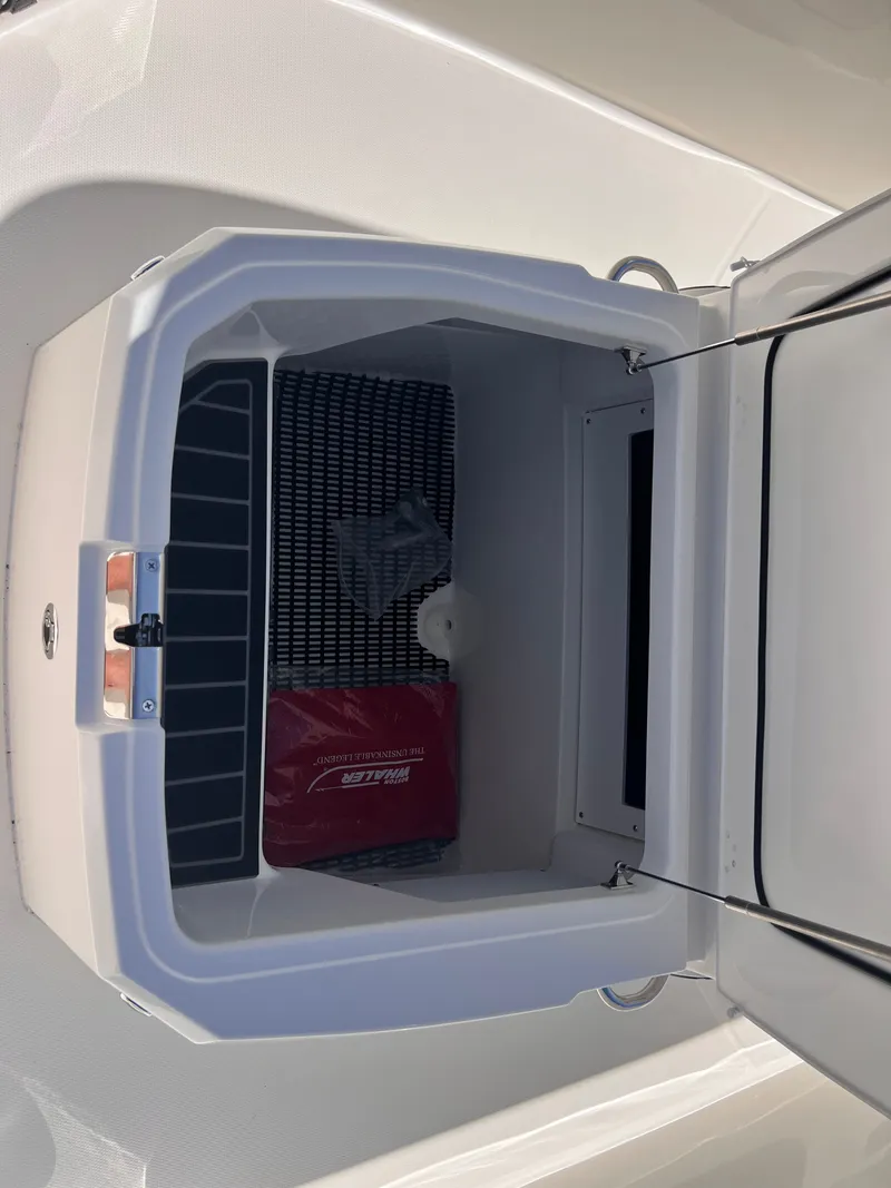 Slide: The Image of Boston Whaler 250 Dauntless 2026 - 6