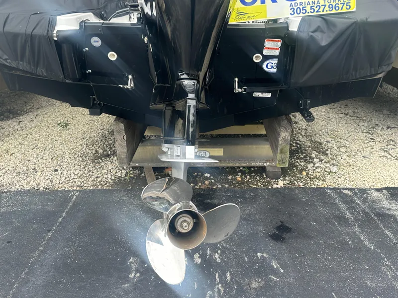 Slide: The Image of Tahoe T21 2024 - 86