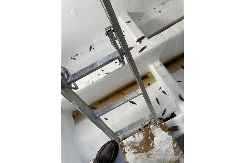 Slide: The Image of Metal ladder on a 1987 Commercial Buoy Tender with scattered leaves. - 29