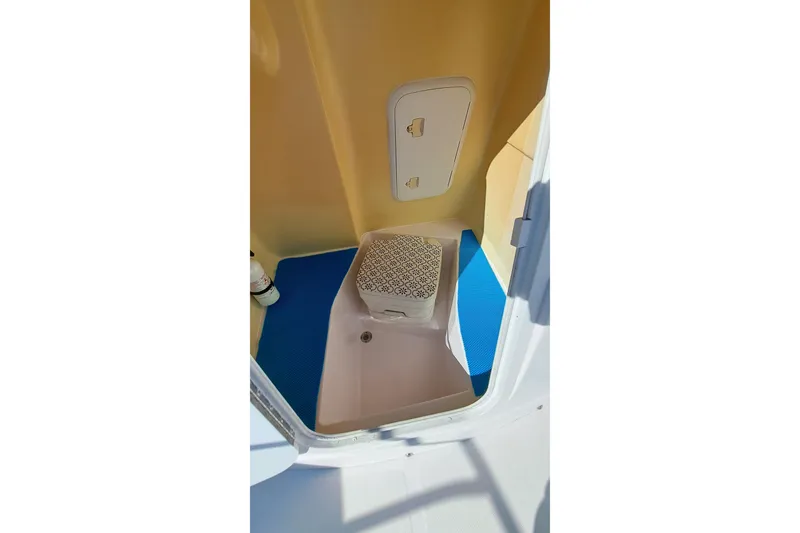 Slide: The Image of 2002 Pro-Line 20 Sport boat interior with storage compartment and patterned mat. - 6