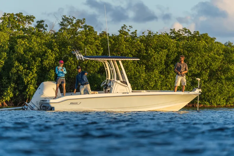Slide: The Image of Boston Whaler 220 Dauntless 2026 on water with anglers. - 17