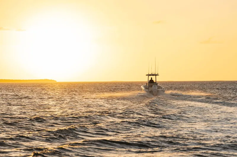 Slide: The Image of Boston Whaler 220 Dauntless 2026 on water at sunset. - 9