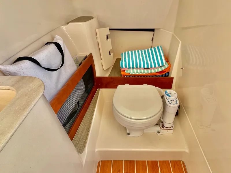 Slide: The Image of Grady-White Freedom 285 2021 - 29