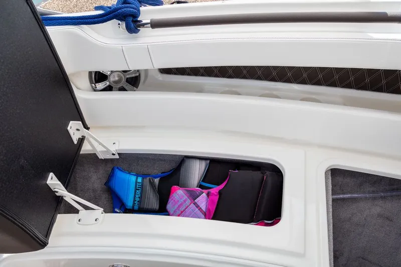 Slide: The Image of Sea Ray SLX 310 2026 - 15