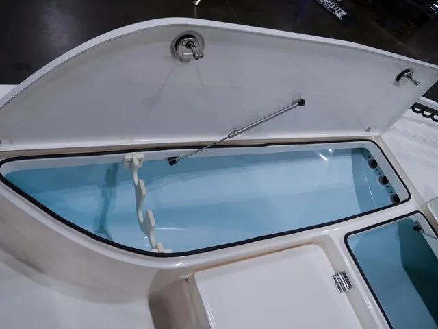 Slide: The Image of Sea Born FX24 Bay 2026 - 39