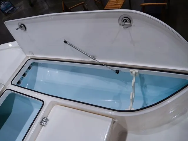 Slide: The Image of Sea Born FX24 Bay 2026 - 40