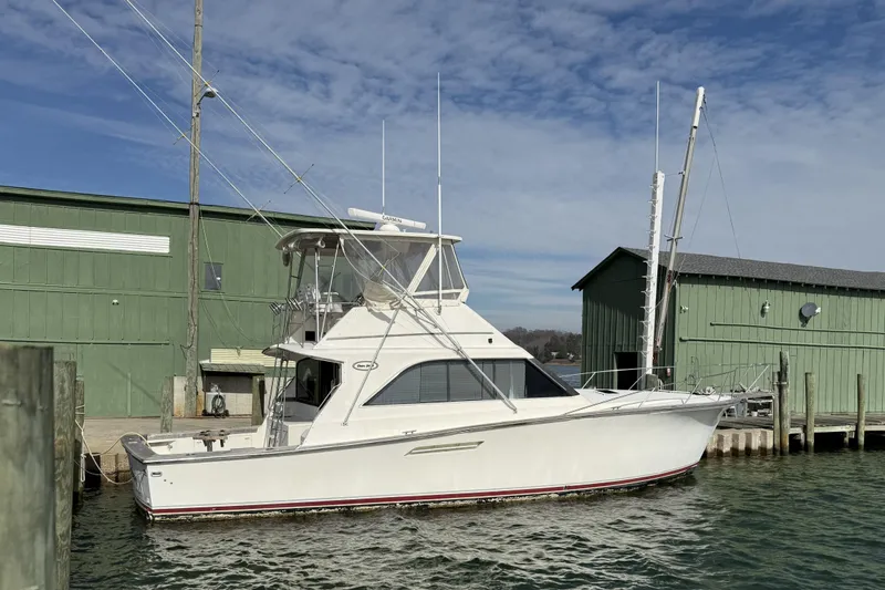 The Image of Ocean 44 Profile Starboard - 0