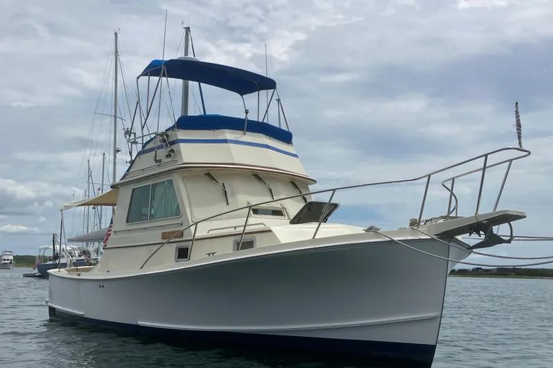 The Image of 1988 Blue Seas 31 boat with blue canopy, anchored on calm water. - 0