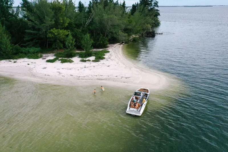 Slide: The Image of Scarab 285 ID 2023 - 53