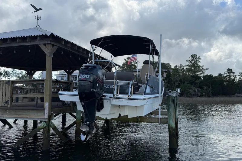 Slide: The Image of 2017 Bayliner Element XR7 boat docked with outboard motor, under cloudy sky. - 3