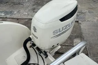 Slide: The Image of 2010 World Cat 290 DC boat with Suzuki outboard motor. - 9