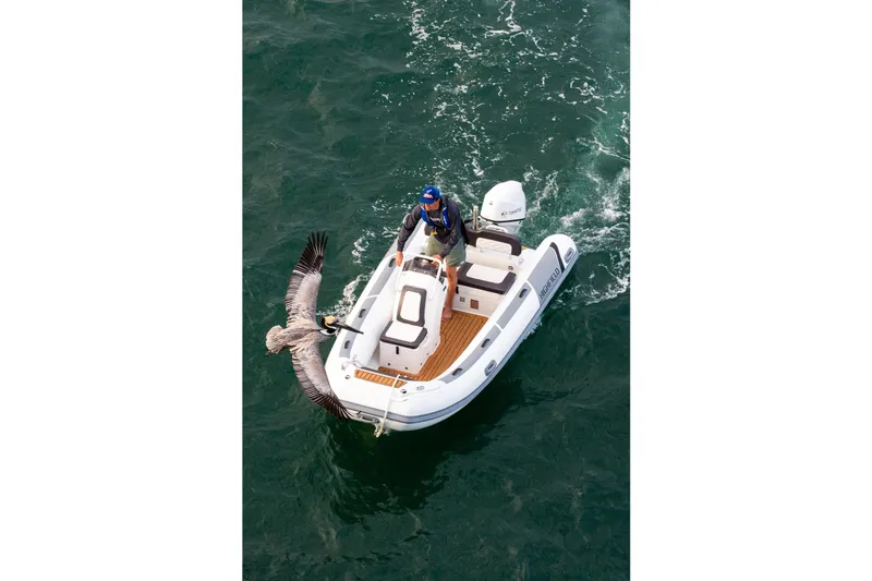 Slide: The Image of 2026 Highfield Sport 420 boat on water with person and pelican interaction. - 5