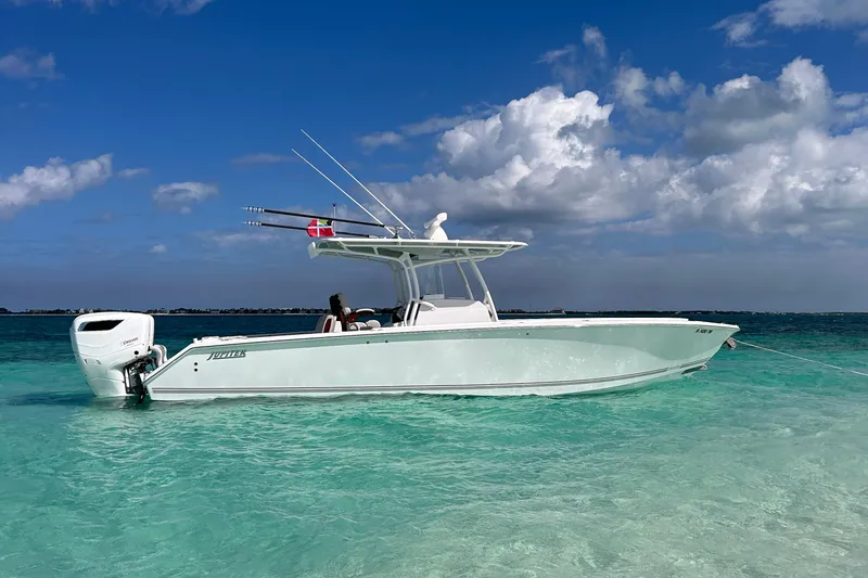 Slide: The Image of 2024 Jupiter 34 HFS - 0